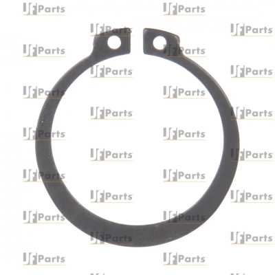 Tutma halkası CARRARO 24789, 3523098M1, 83957806, VOE11709300, CA0024789