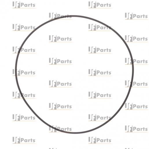 Halka sızdırmazlık CARRARO 28603, 6194922M1, 85805711, VOE11709491, CA0028603 Halka sızdırmazlık CARRARO 28603, 6194922M1, 85805711, VOE11709491, CA0028603